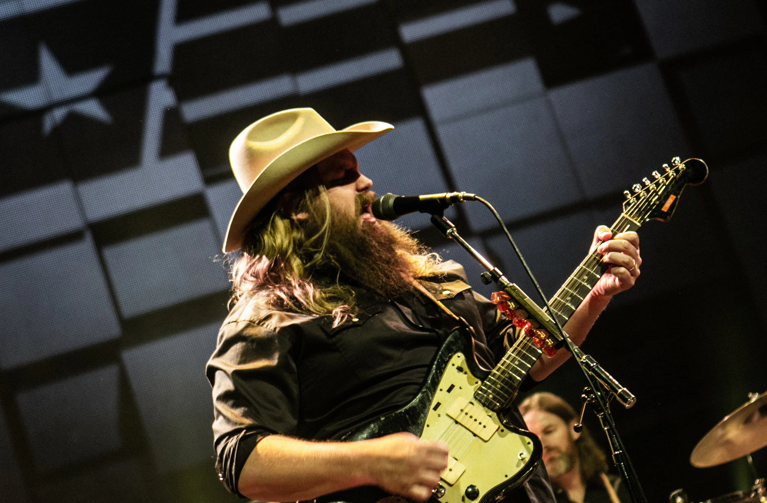 Stapleton_Vetsaid3.jpg