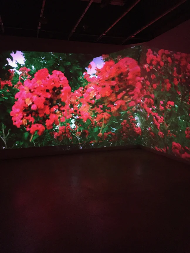 Joy Meyer "Story of an Hour" multi-channel video and sound installation