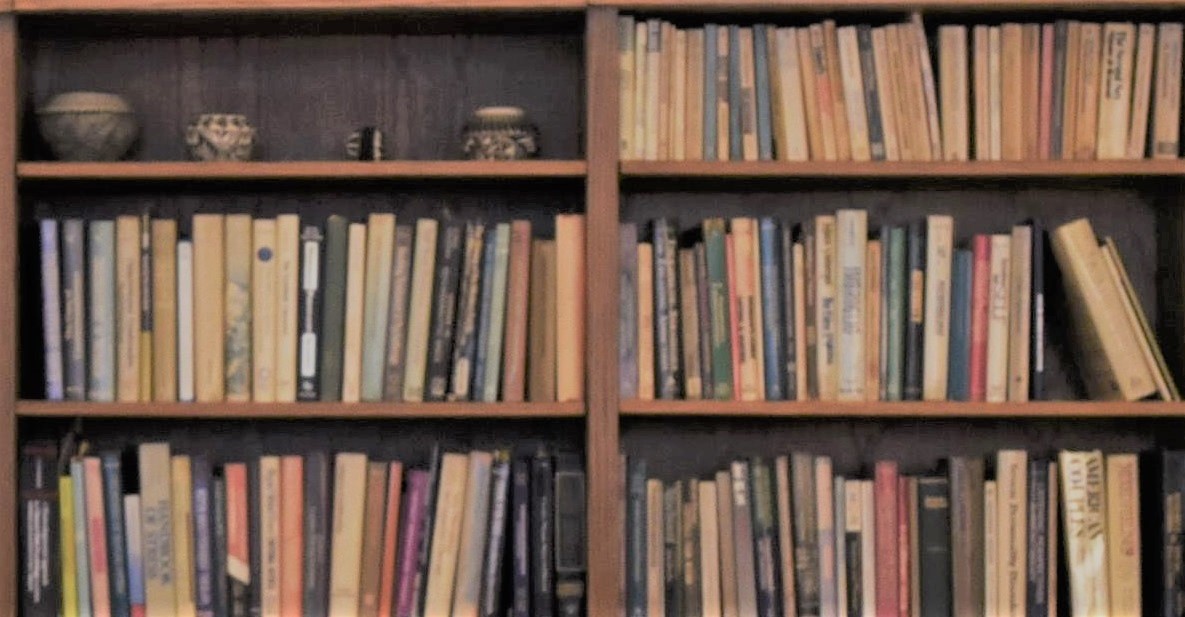 light lama bookshelf.jpg