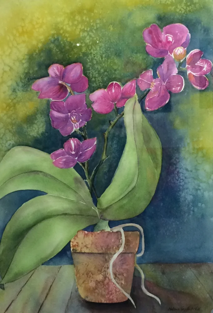 Helena Seyffert Hill | “Orchid in the Morning” | Watercolor on acid-free paper | 12.5 x 9.5 in.
