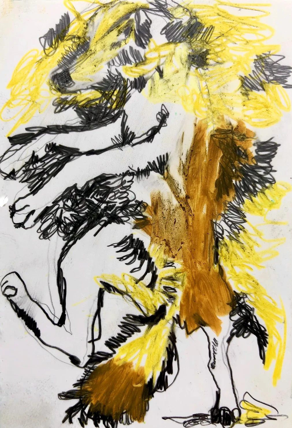 Coyote I)miniature)_website.jpg