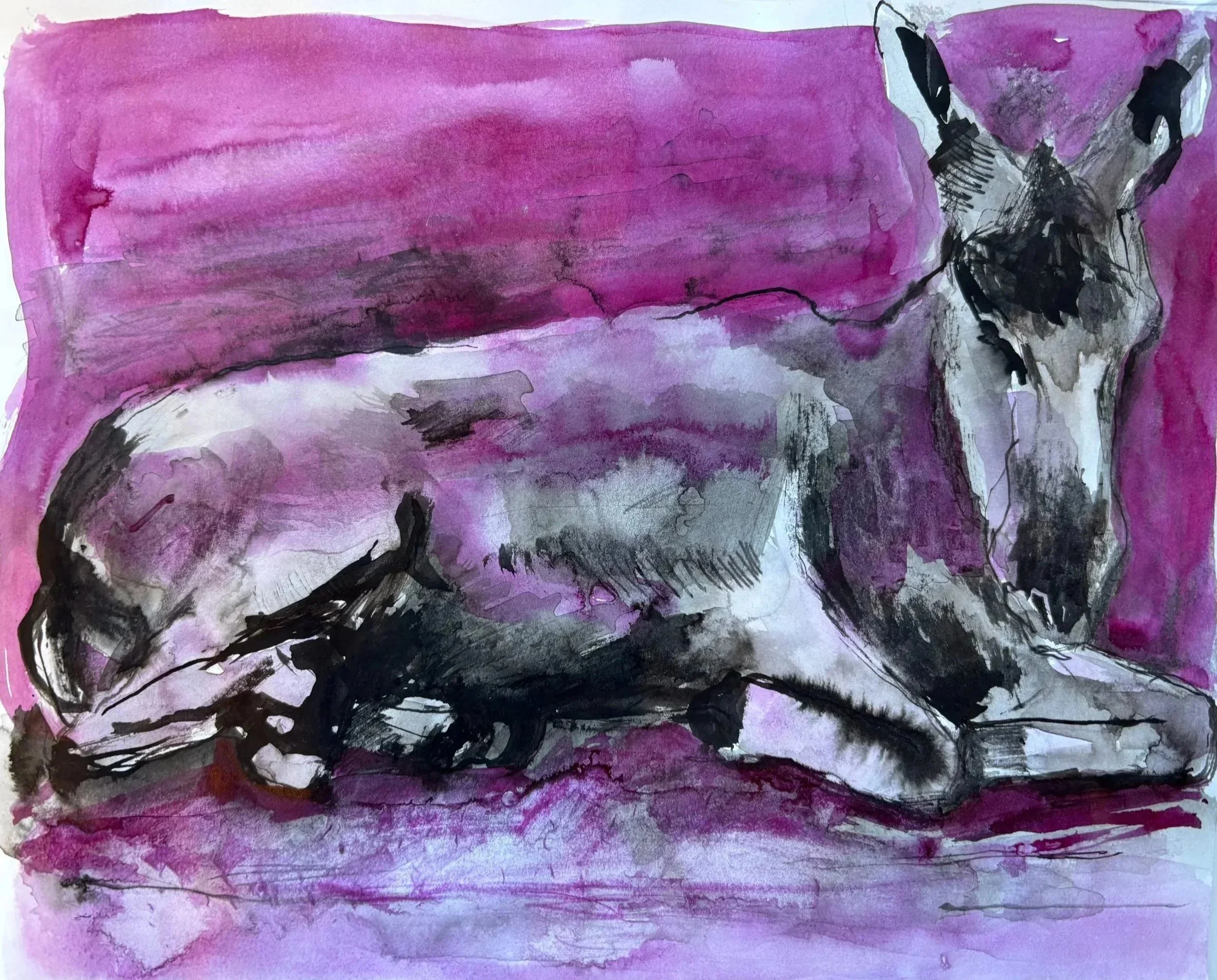 Magenta Donkey