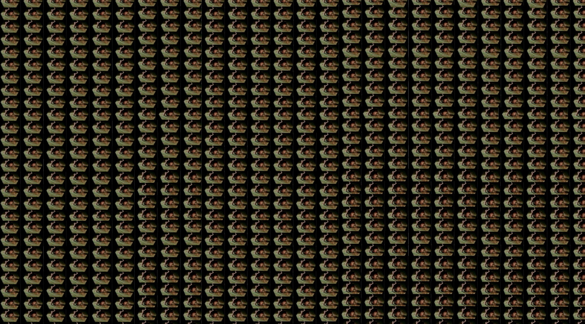 Screen Shot 2016-10-31 at 6.10.25 PM.png
