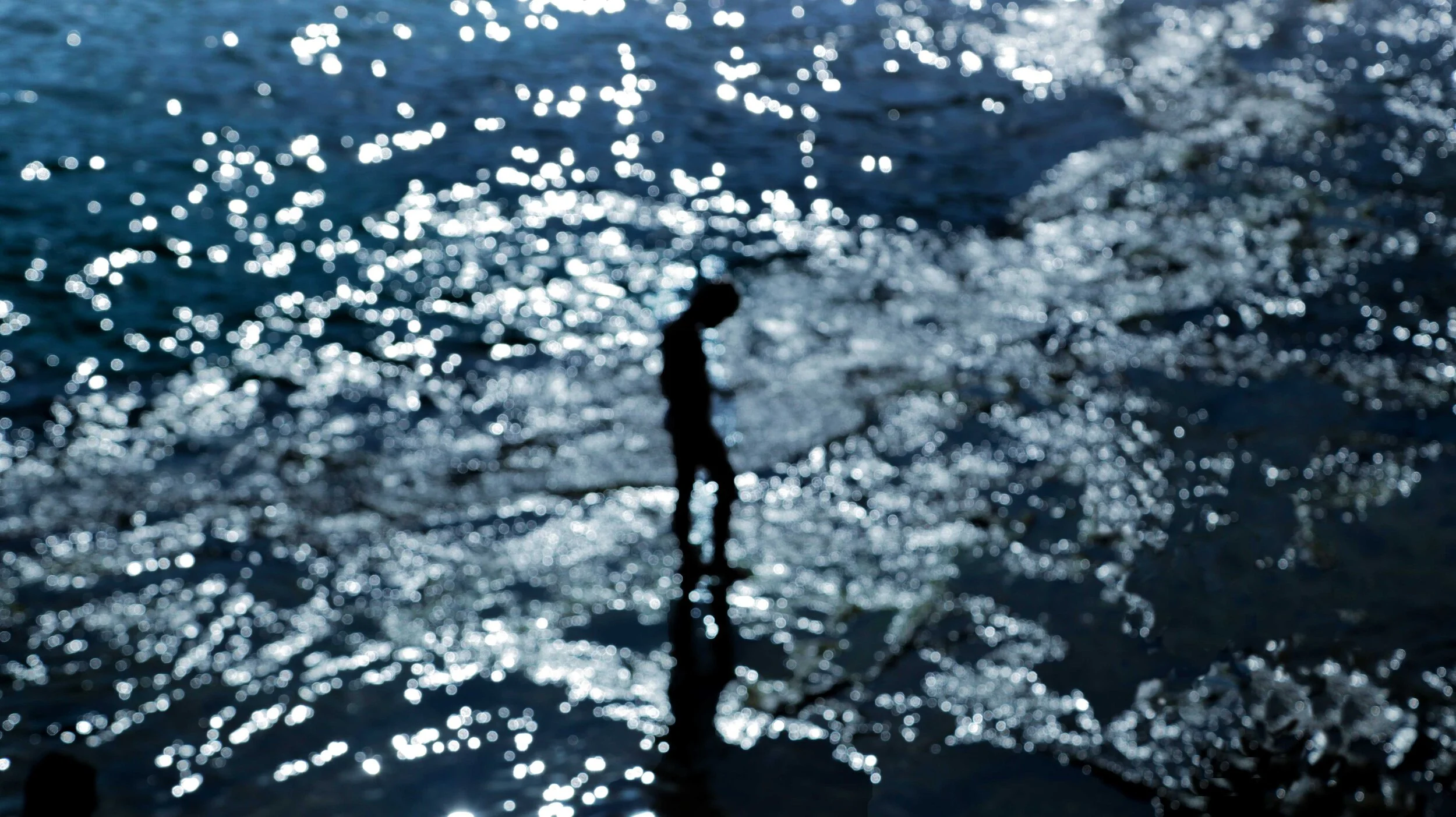 blue_1web.jpg
