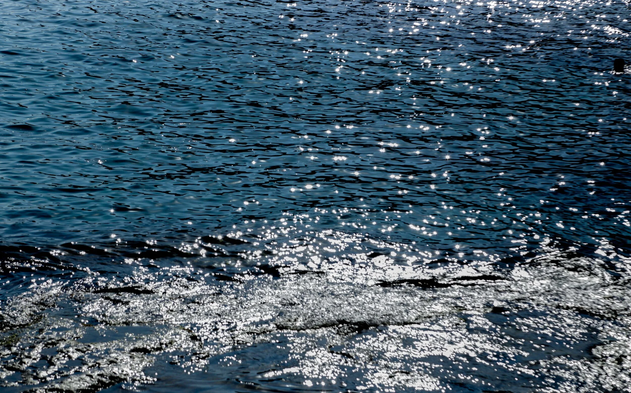 blue_sea_web.jpg