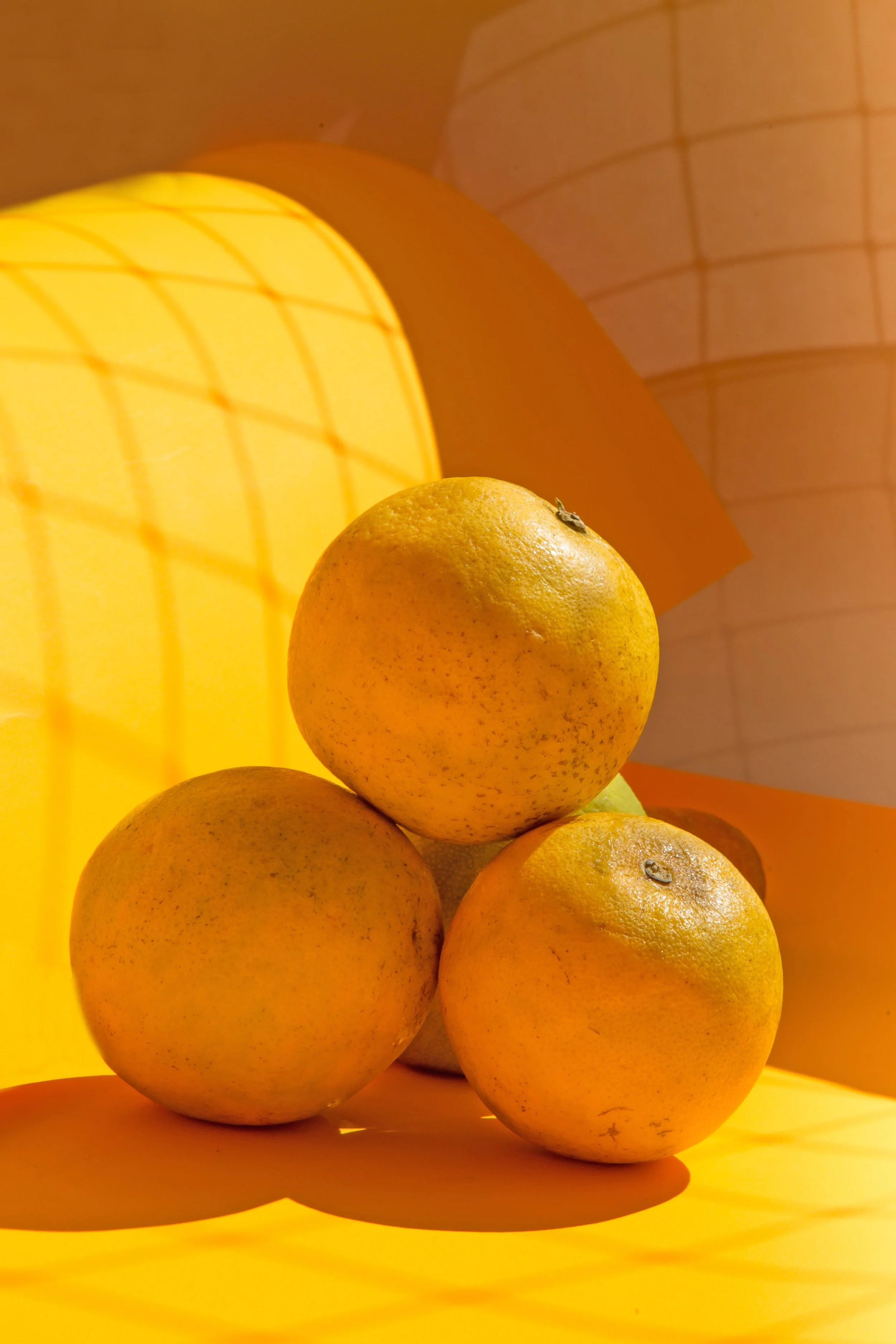 oranges_orangebackground.jpg
