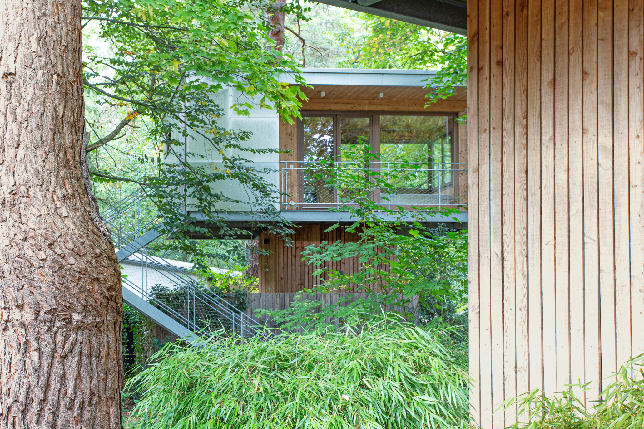 Modern Treehouse Architecture