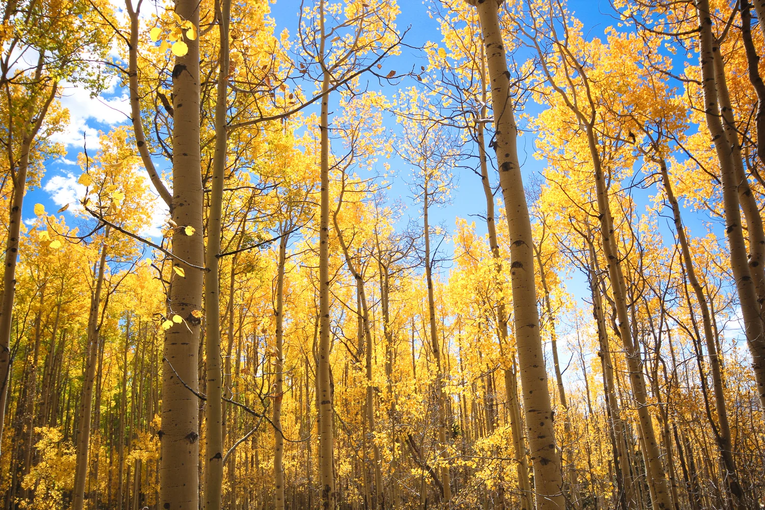 forweb-Kenosha Pass.jpg