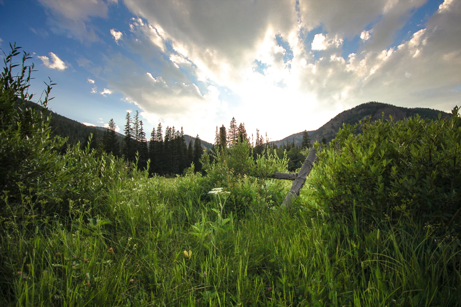 forweb-Lost Lake Sunset.jpg