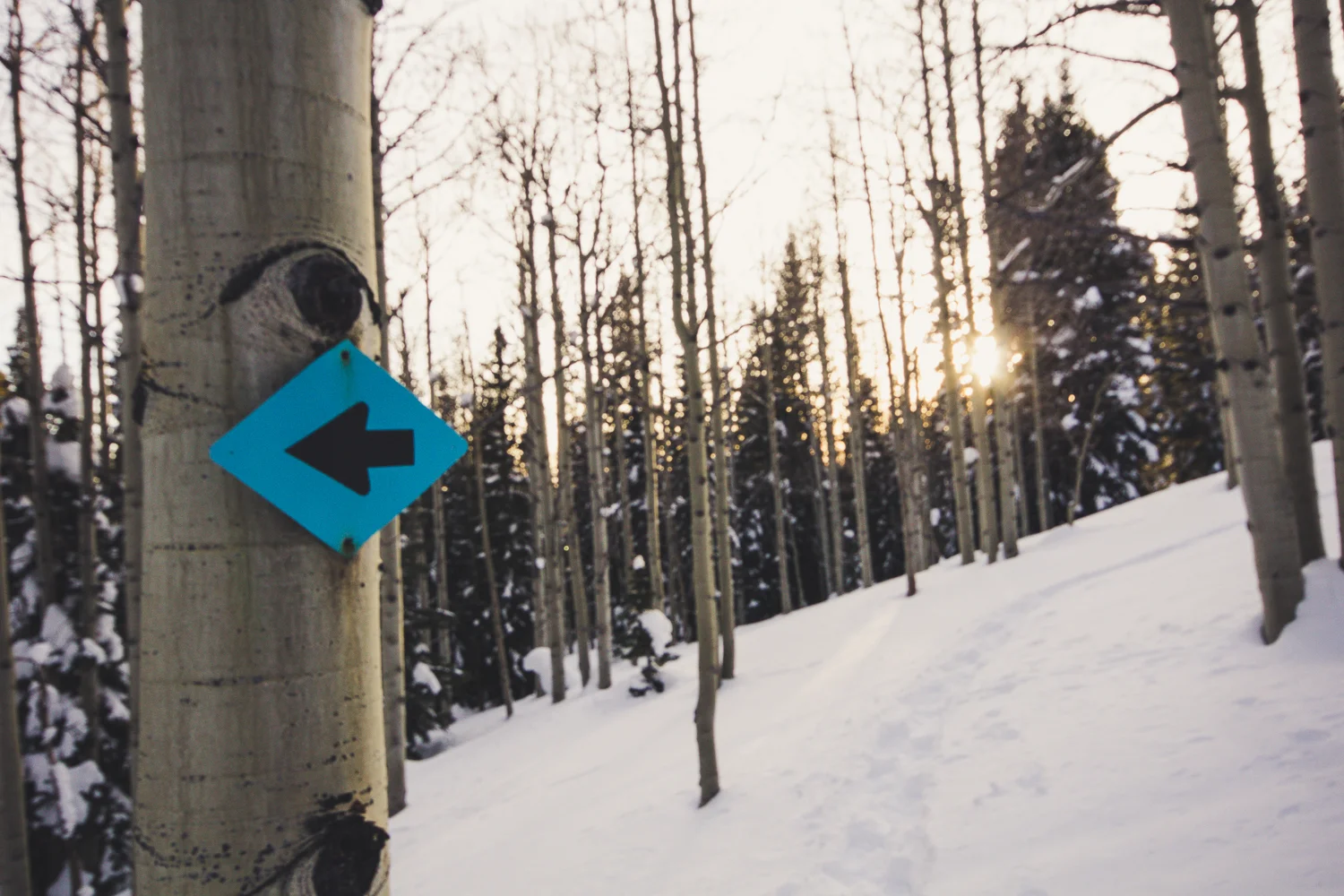 forweb-Snowshoe Trail Sign.jpg