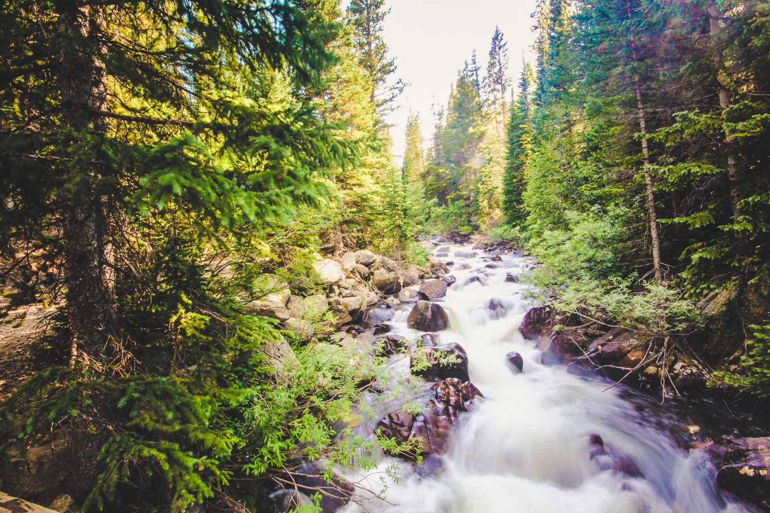 forweb-Upper Boulder River.jpg