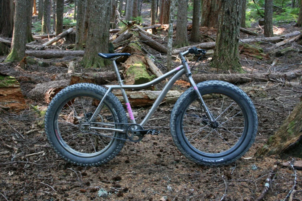 fat bike titanium