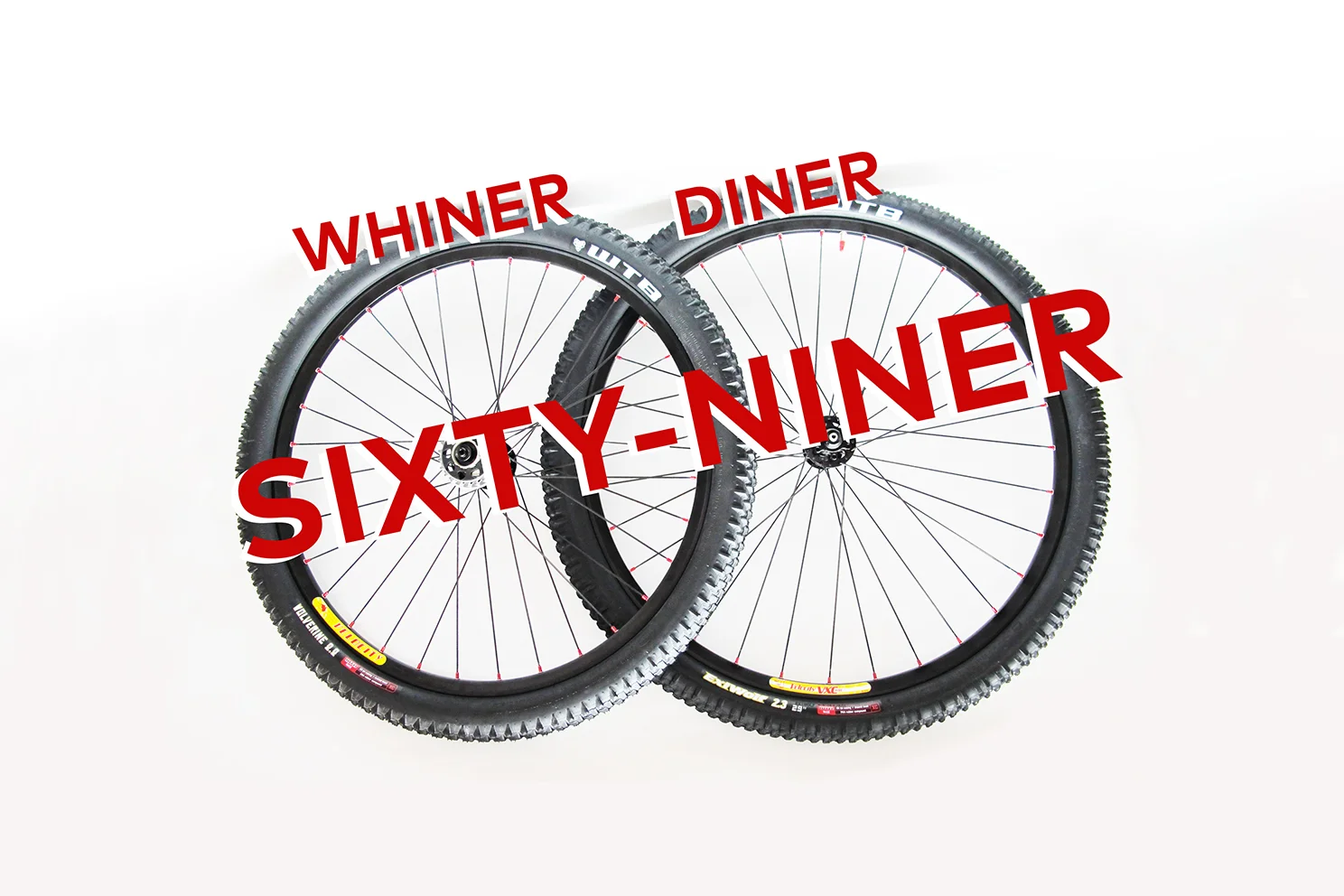 TCF-FAQ-69er-banner.jpg
