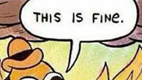 fafef.jpg