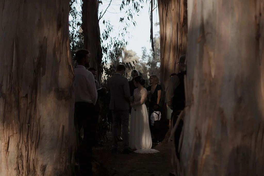 vickyandnigel-8510.jpg