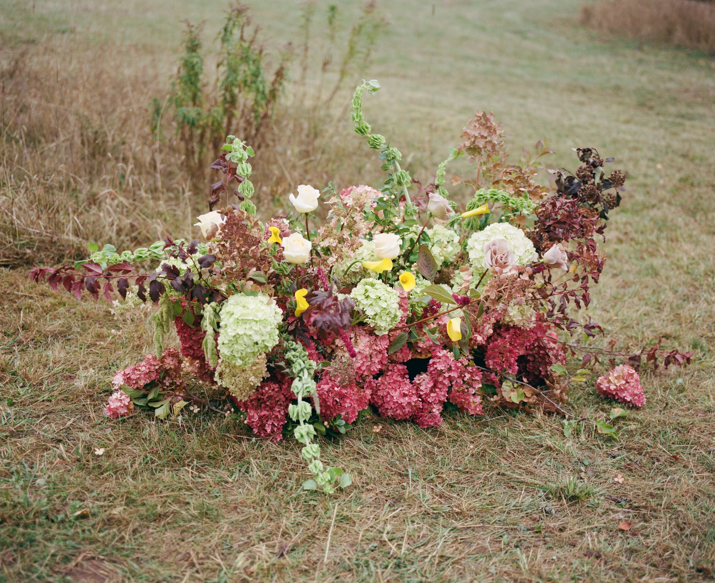 film (1 of 1).jpg