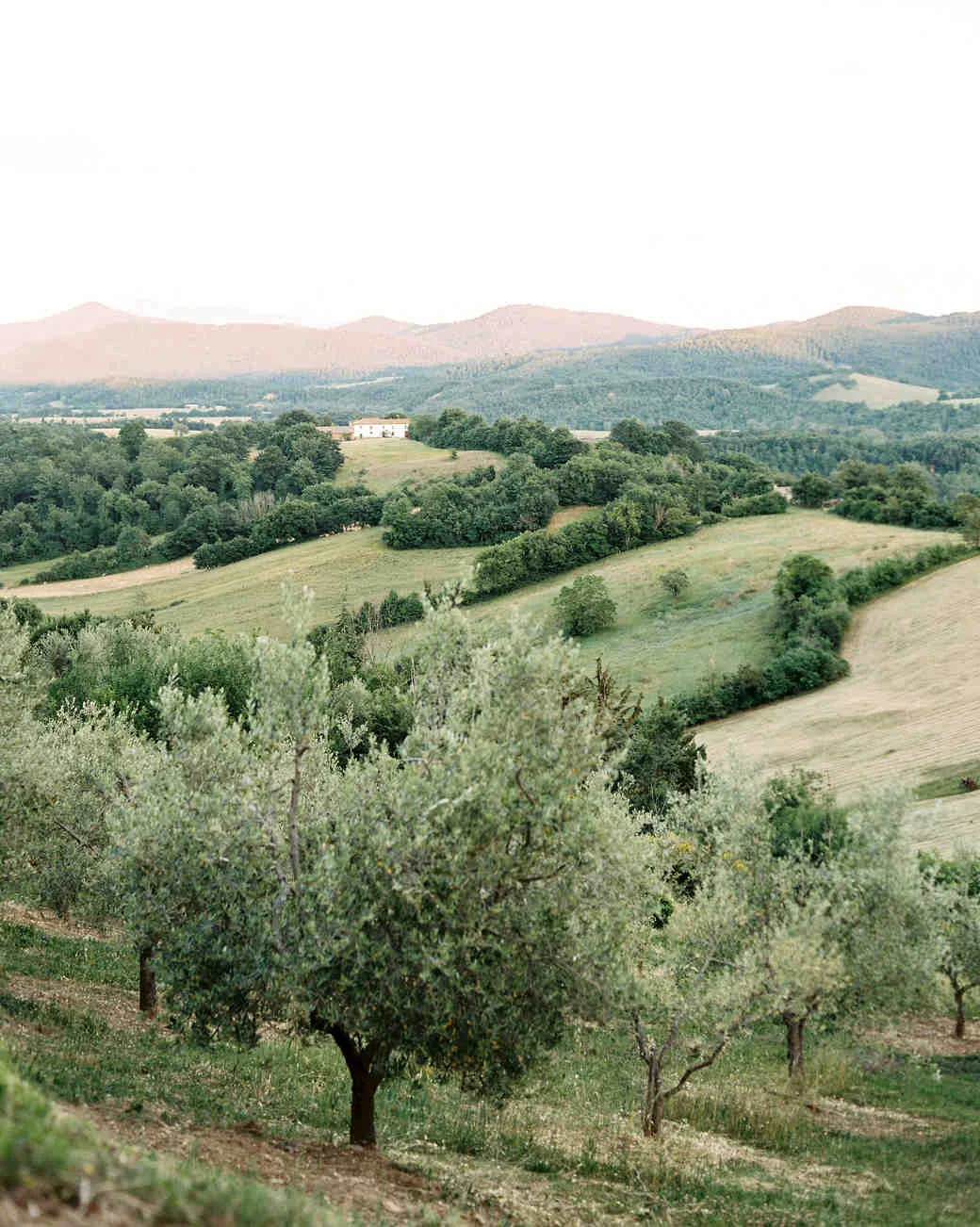 alexis-zach-wedding-italy-venue-12840_05-6419608-1117_vert.jpg