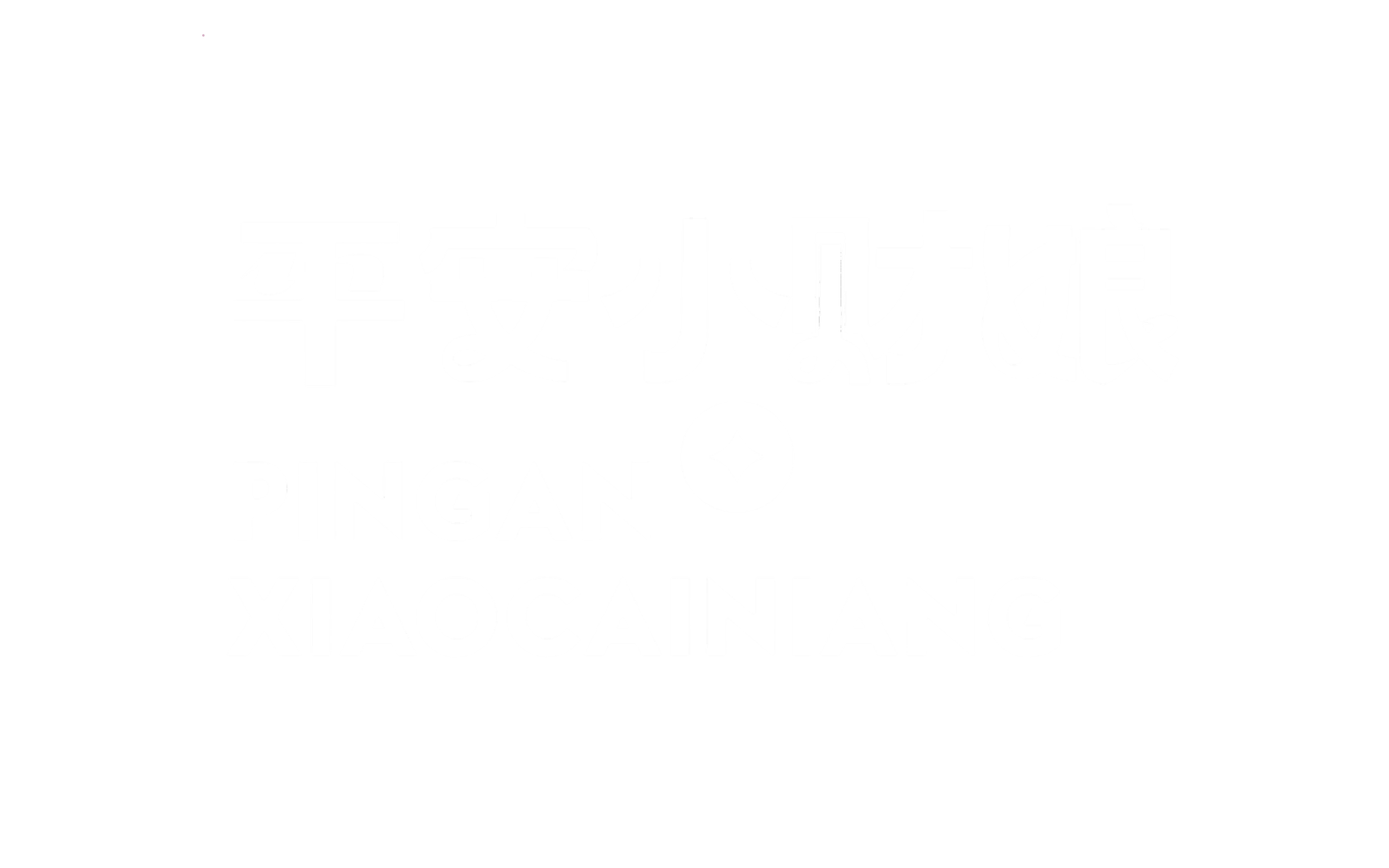 pingan11.png