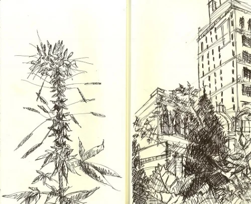 sketchbook-park2.jpg