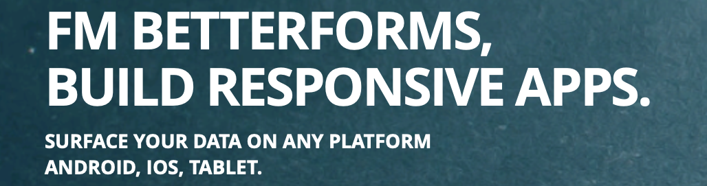 fmbetterforms.png