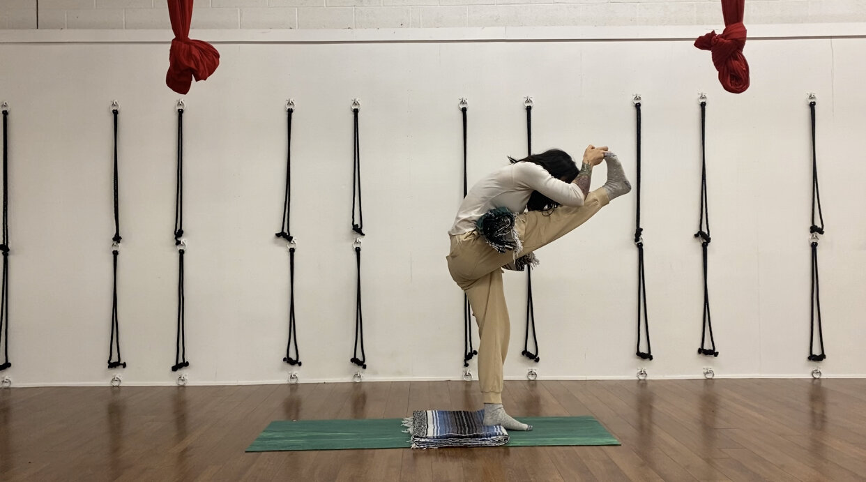 Why Do Dogs Scrunch Up Blankets