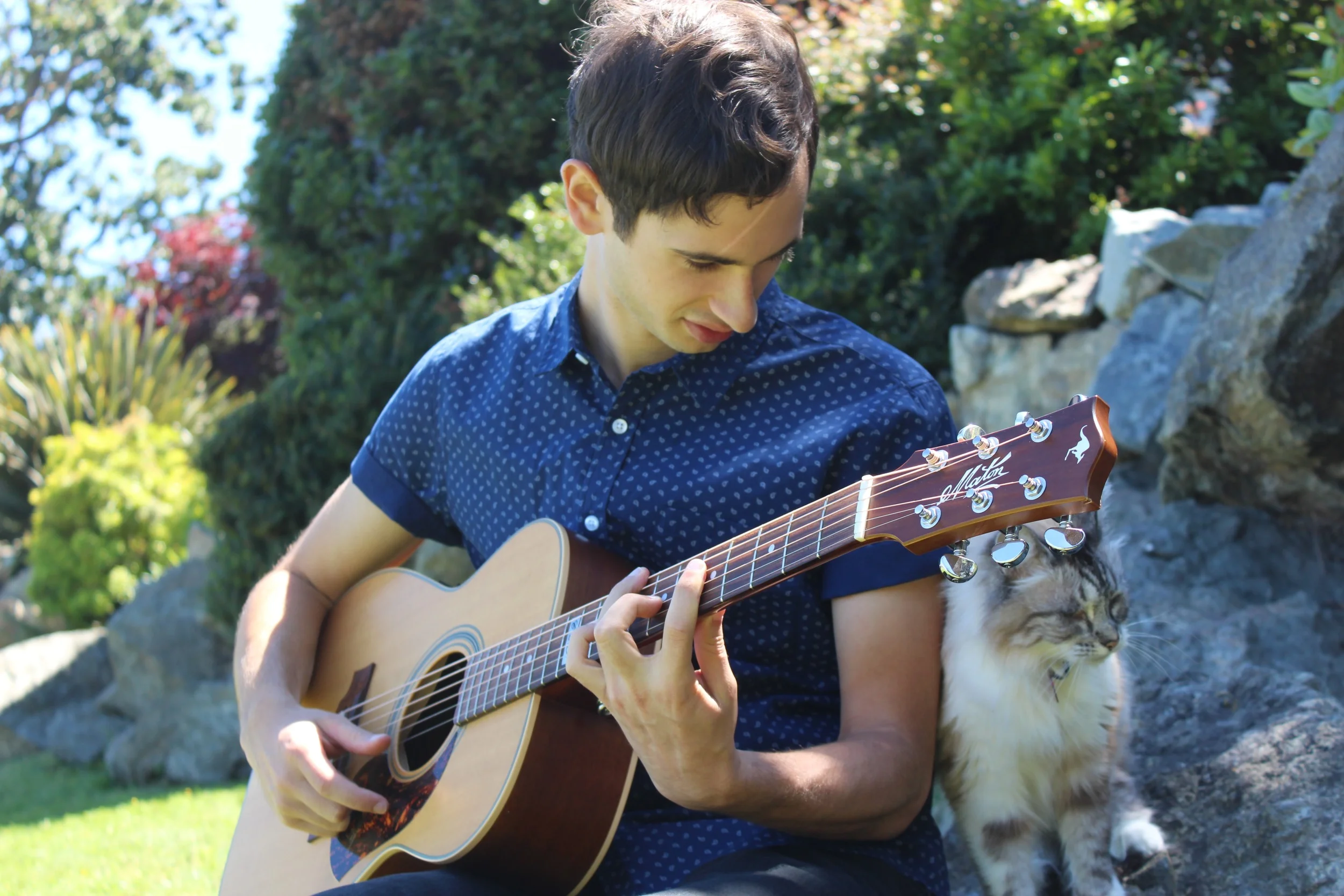 Charlie teaches a cat to name the chord he is playing, without her peeking.
