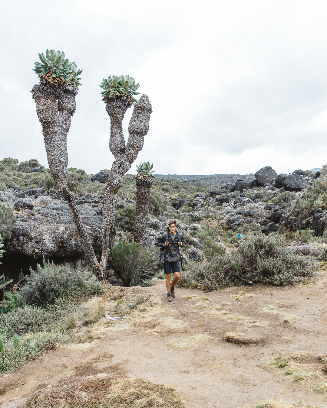 captainbarto-blog-adambartoshesky-misterspoils-mtkilimanjaro-tanzania-october2017-day3184.jpg