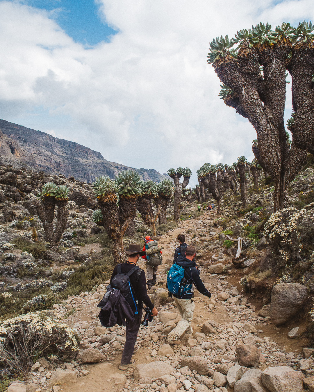 captainbarto-blog-adambartoshesky-misterspoils-mtkilimanjaro-tanzania-october2017-day4199.jpg