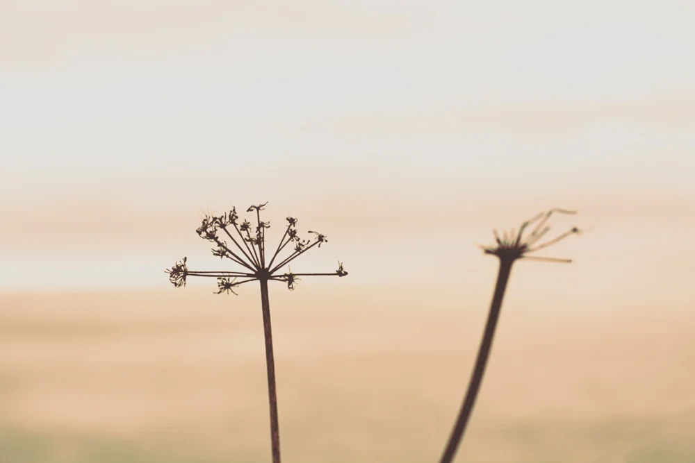 new portfolio-16.jpg