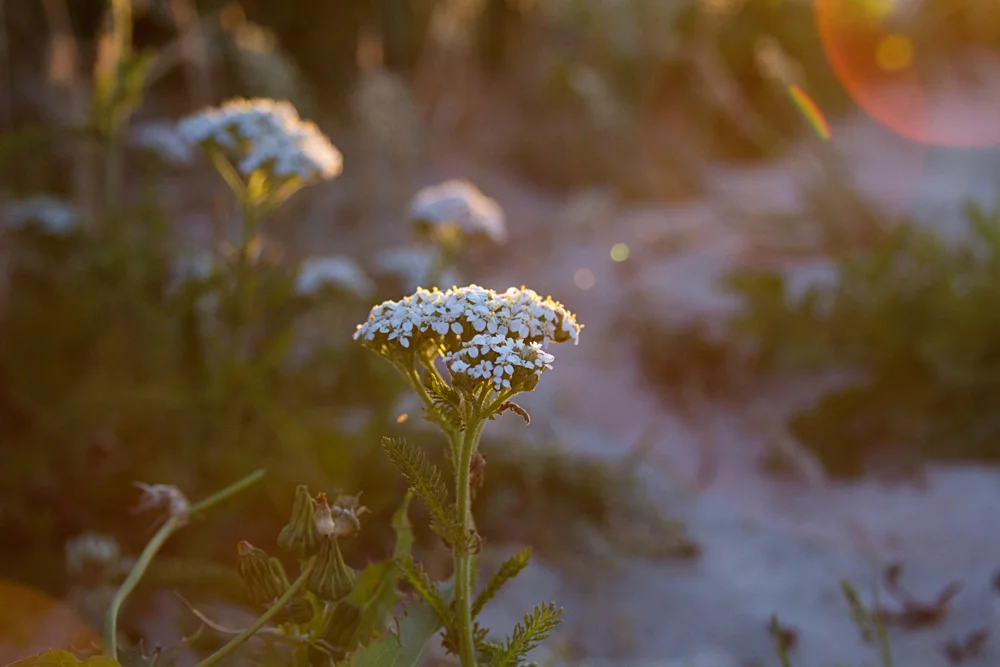 new portfolio-68.jpg