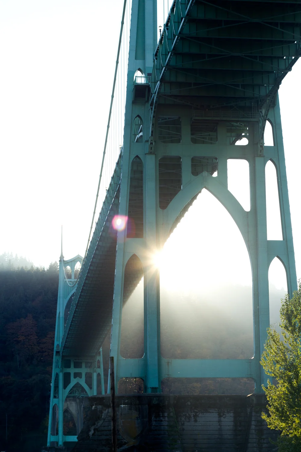 new portfolio-37.jpg