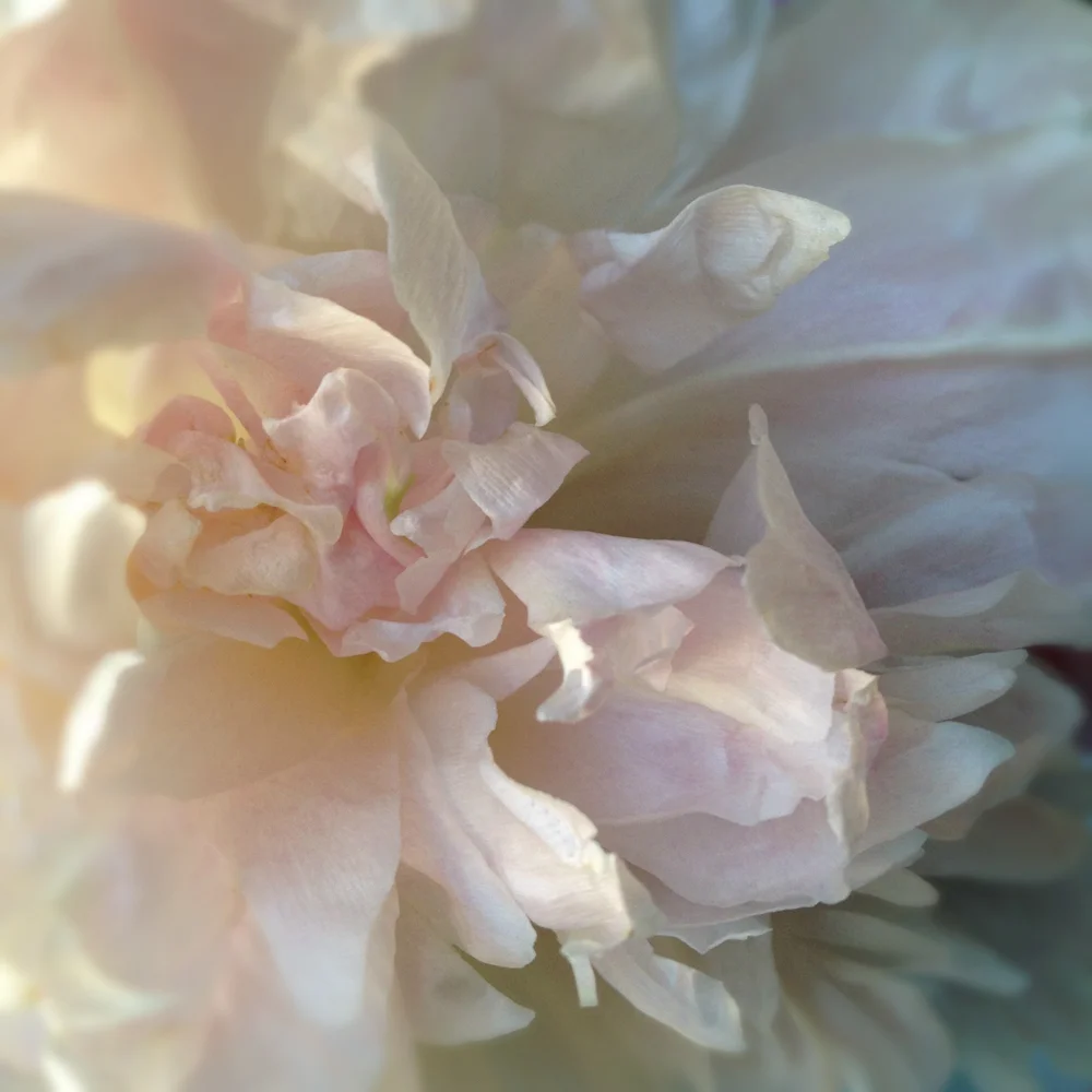 new portfolio-19.jpg
