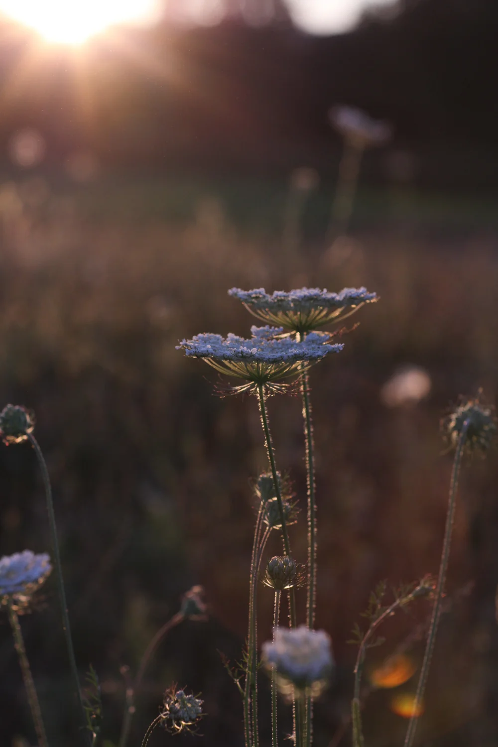 new portfolio-15.jpg