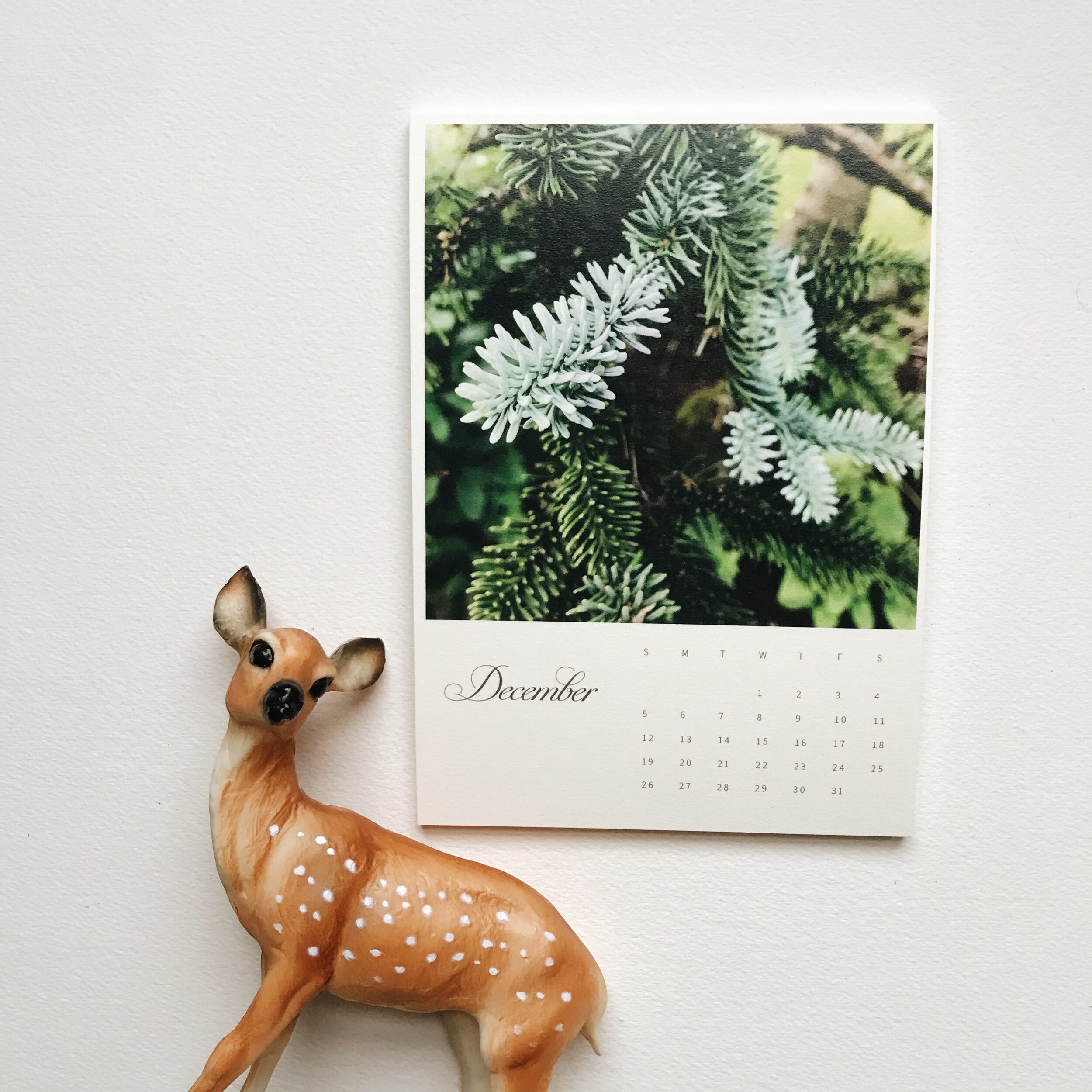 december with deer.JPG