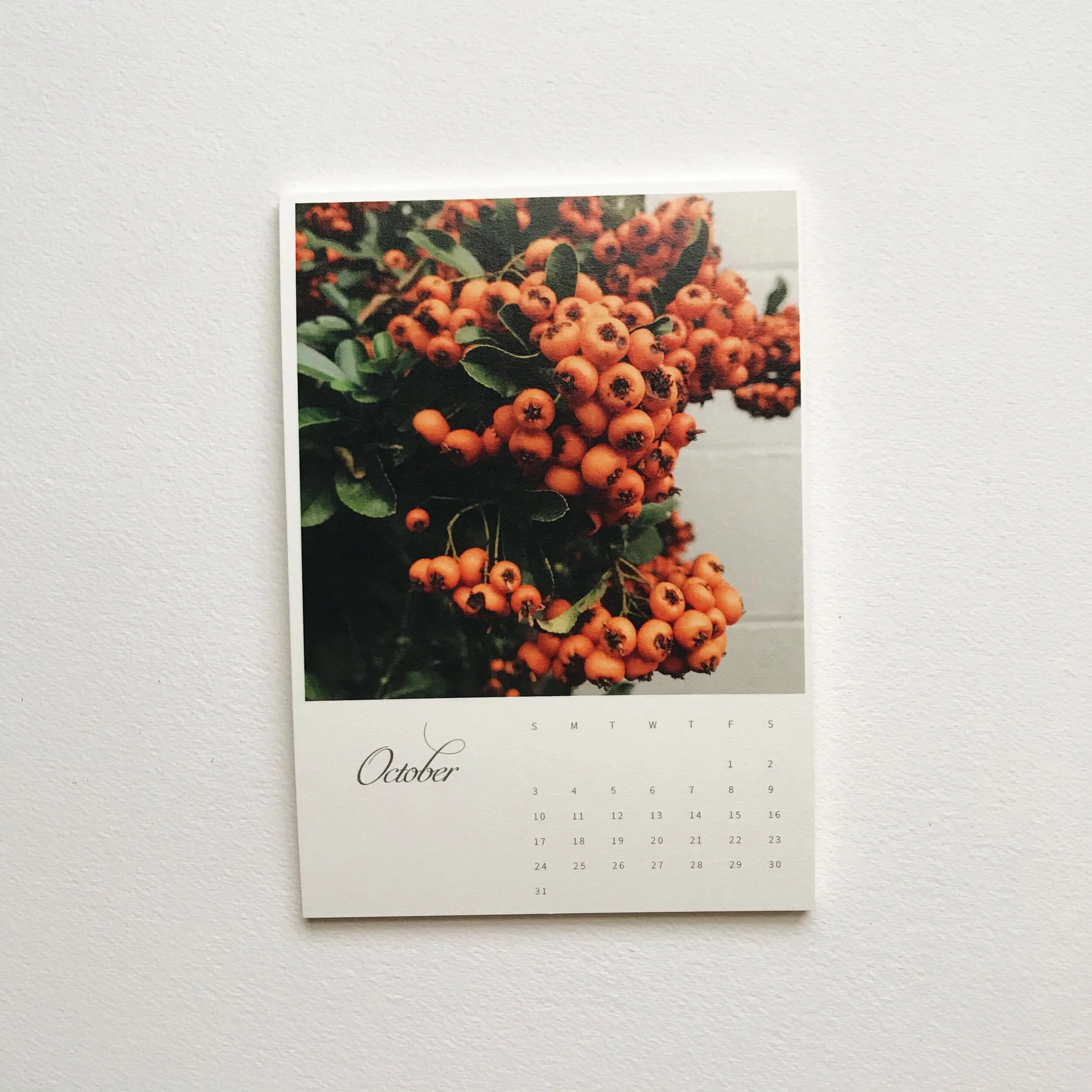 october.JPG