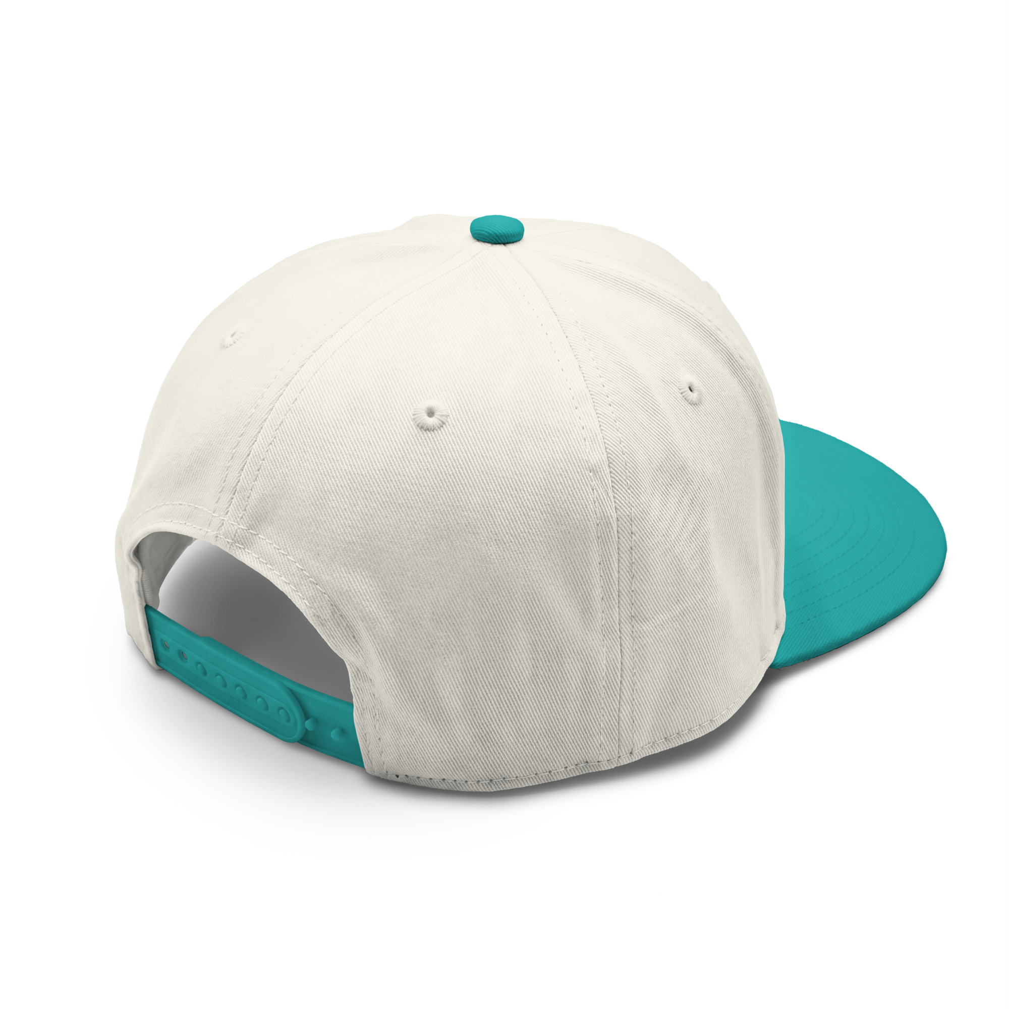 class-two-tone-cap-natural-charlotte-back-6a85e5ee47b7a.png