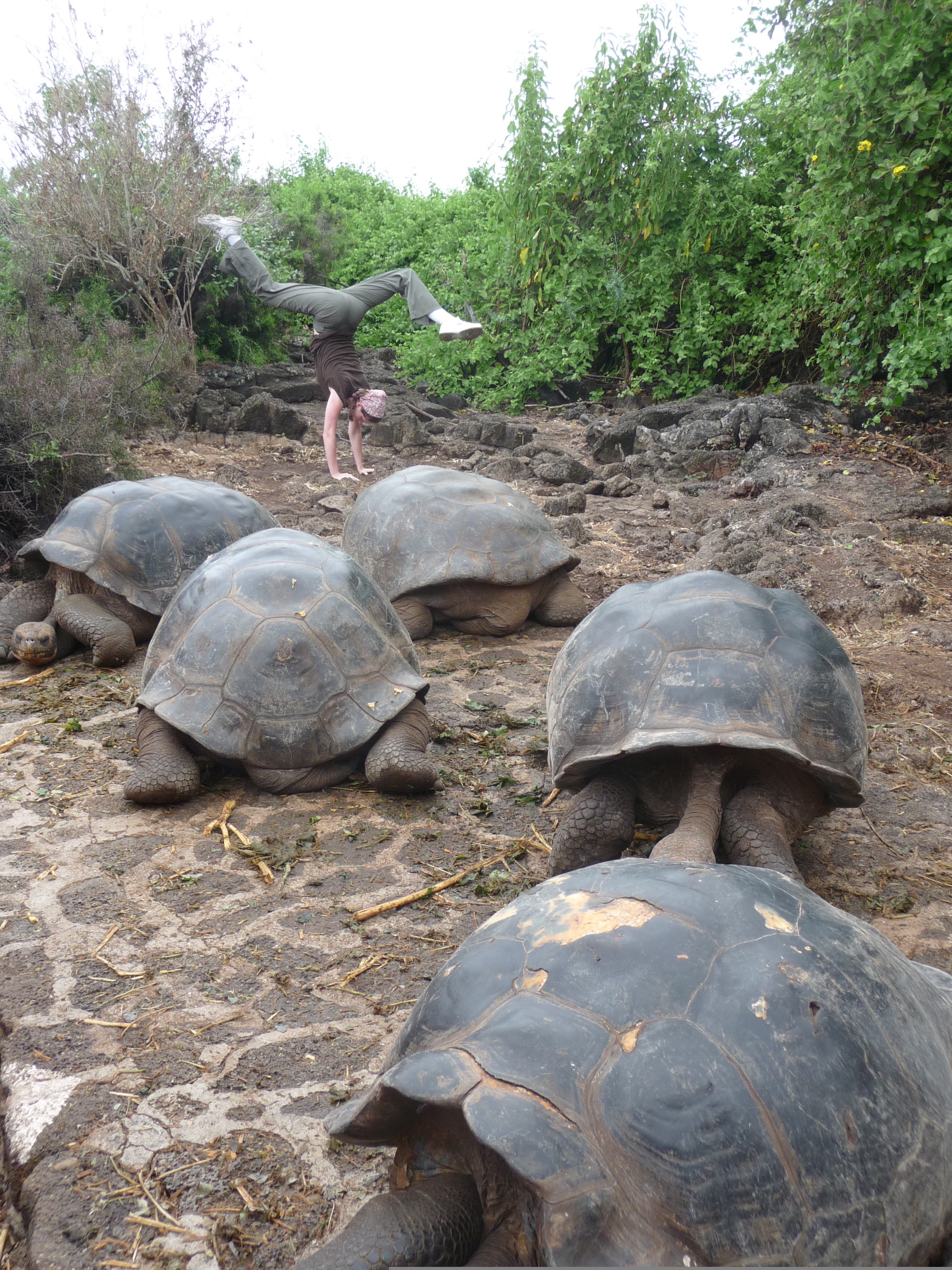 Galapagos Islands