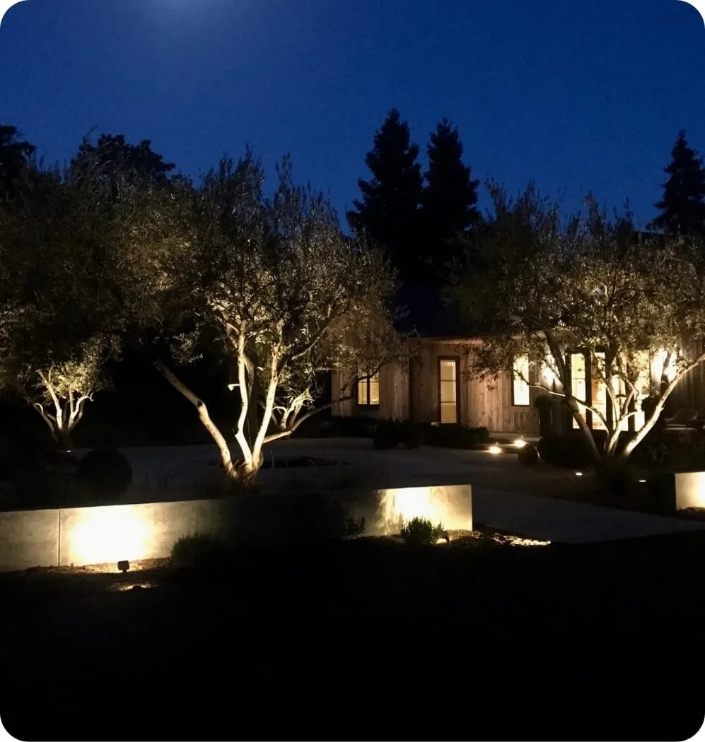 Exterior lighting highlights trees, walkways, and architecture on a California home on the San Francisco Peninsula. 
