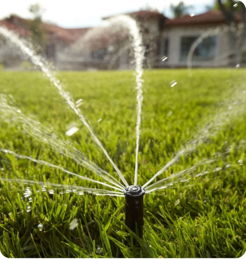 A sprinkler irrigation system in use on a residential California lawn.