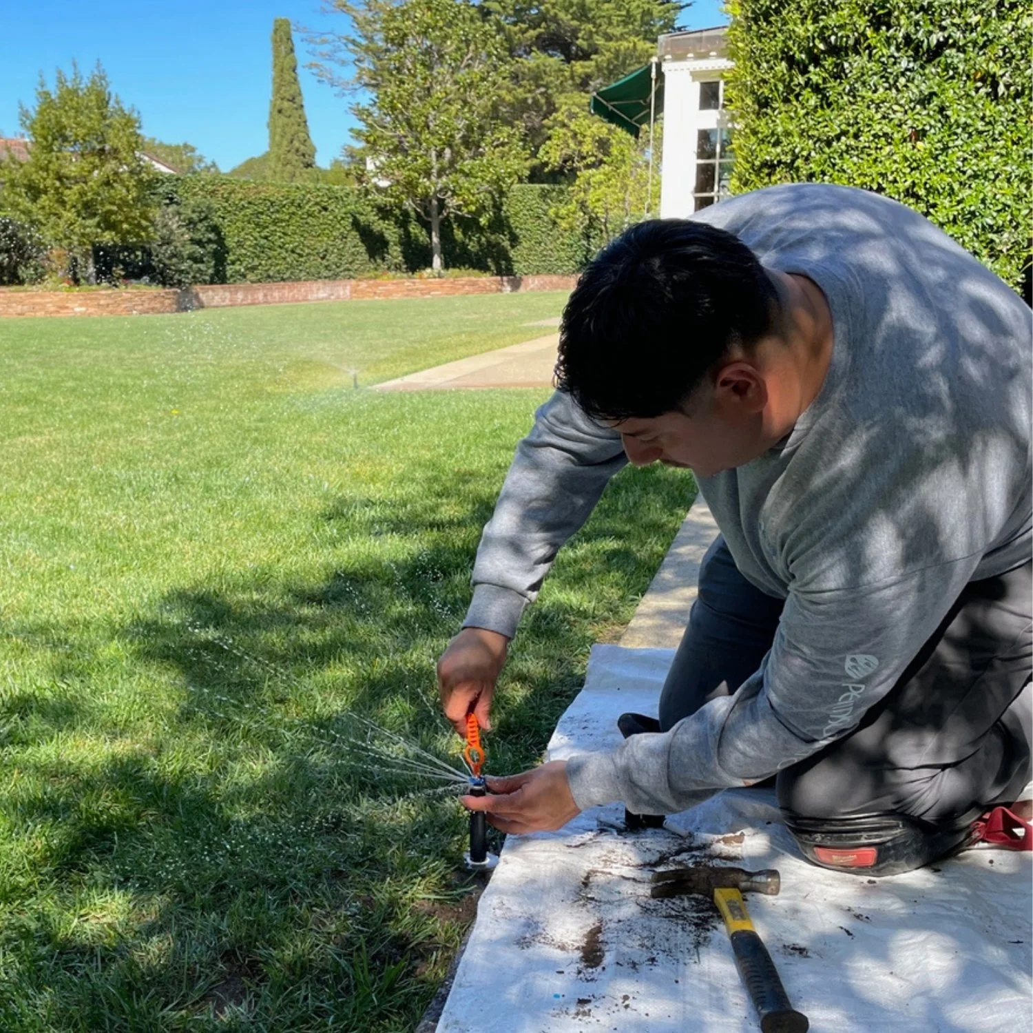 A licensed plumber adjusting a sprinkler head spray to properly cover a California lawn.