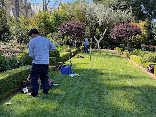 A new sprinkler system is installed in a  beautifully landscaped San Francisco peninsula yard.
