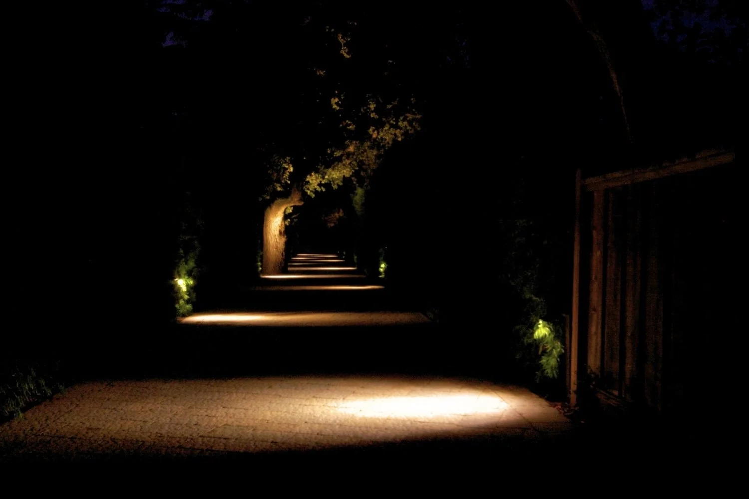 Residential driveway in Burlingame, CA with stunning landscape lighting highlighting trees and paving stone driveway.