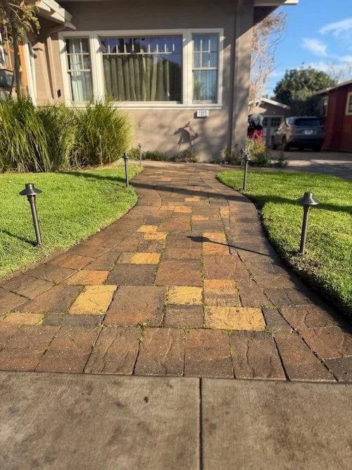 Charming walkway lights installed by professional landscape lighting company in CA.