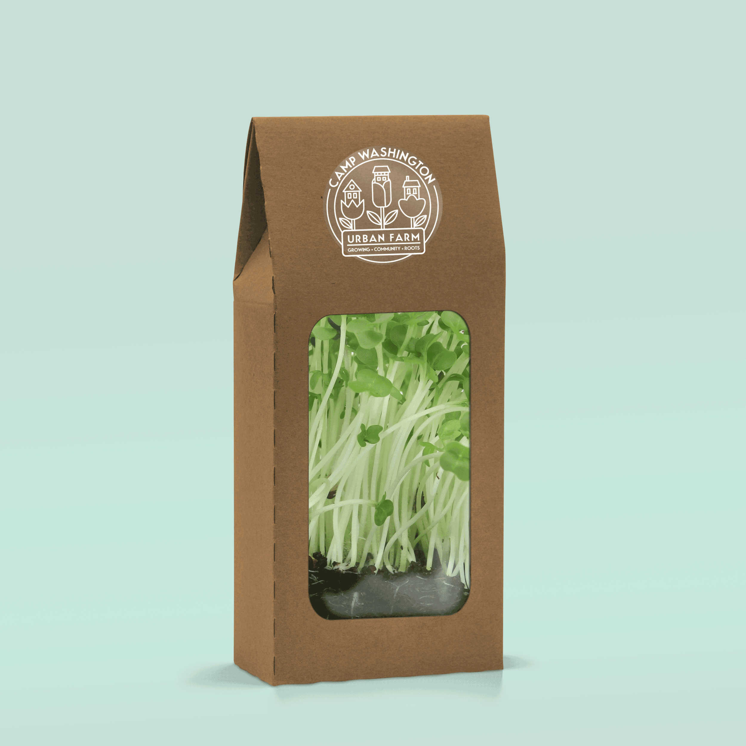 CWUF-Tuck-Lid-Window-Box-Packaging-Mockup-PSD-Recovered.gif