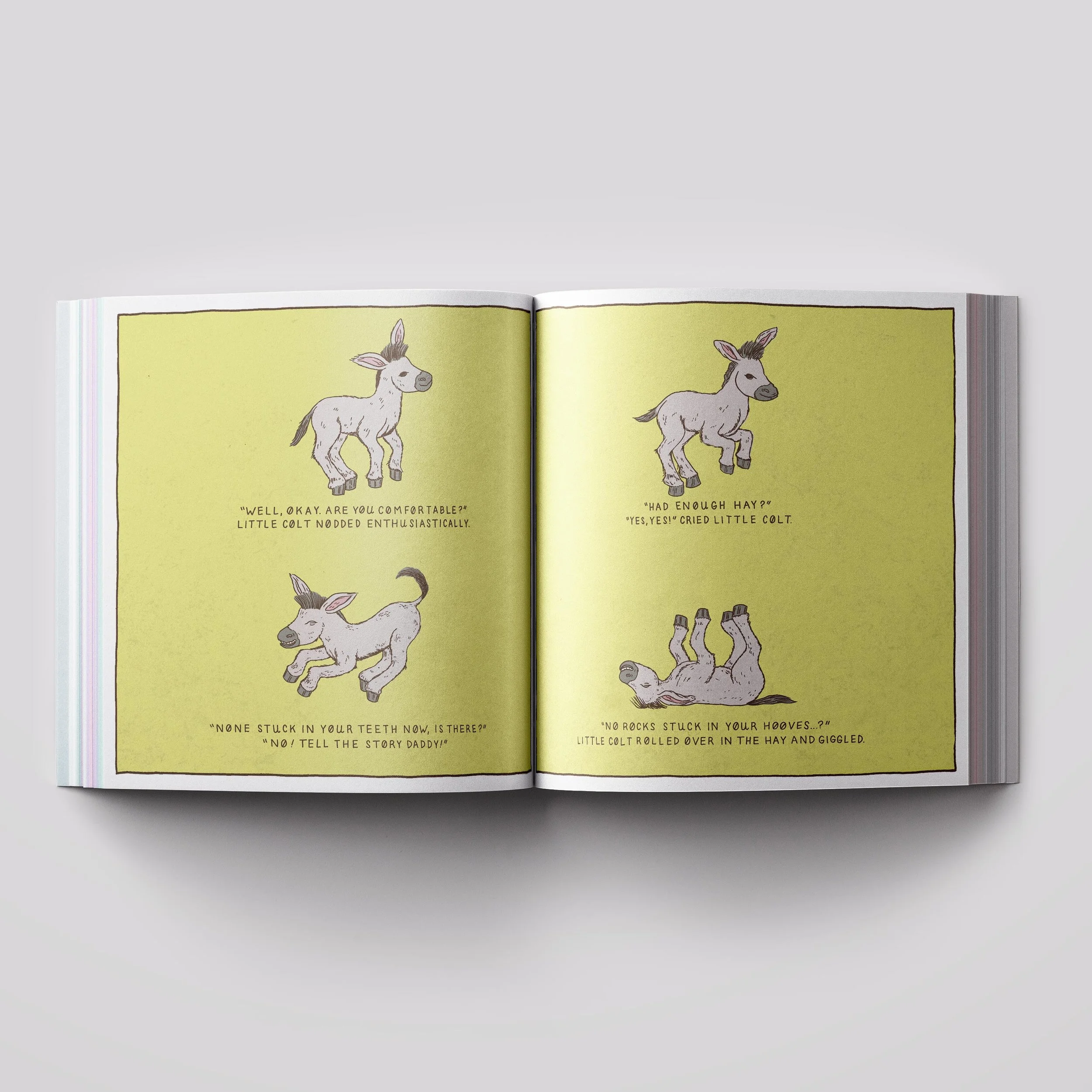 Little-Colt-Mock-Up-Inner-Pages-2.jpg