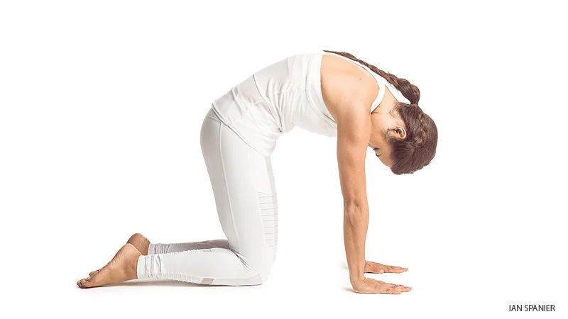 Photo: Yoga Journal