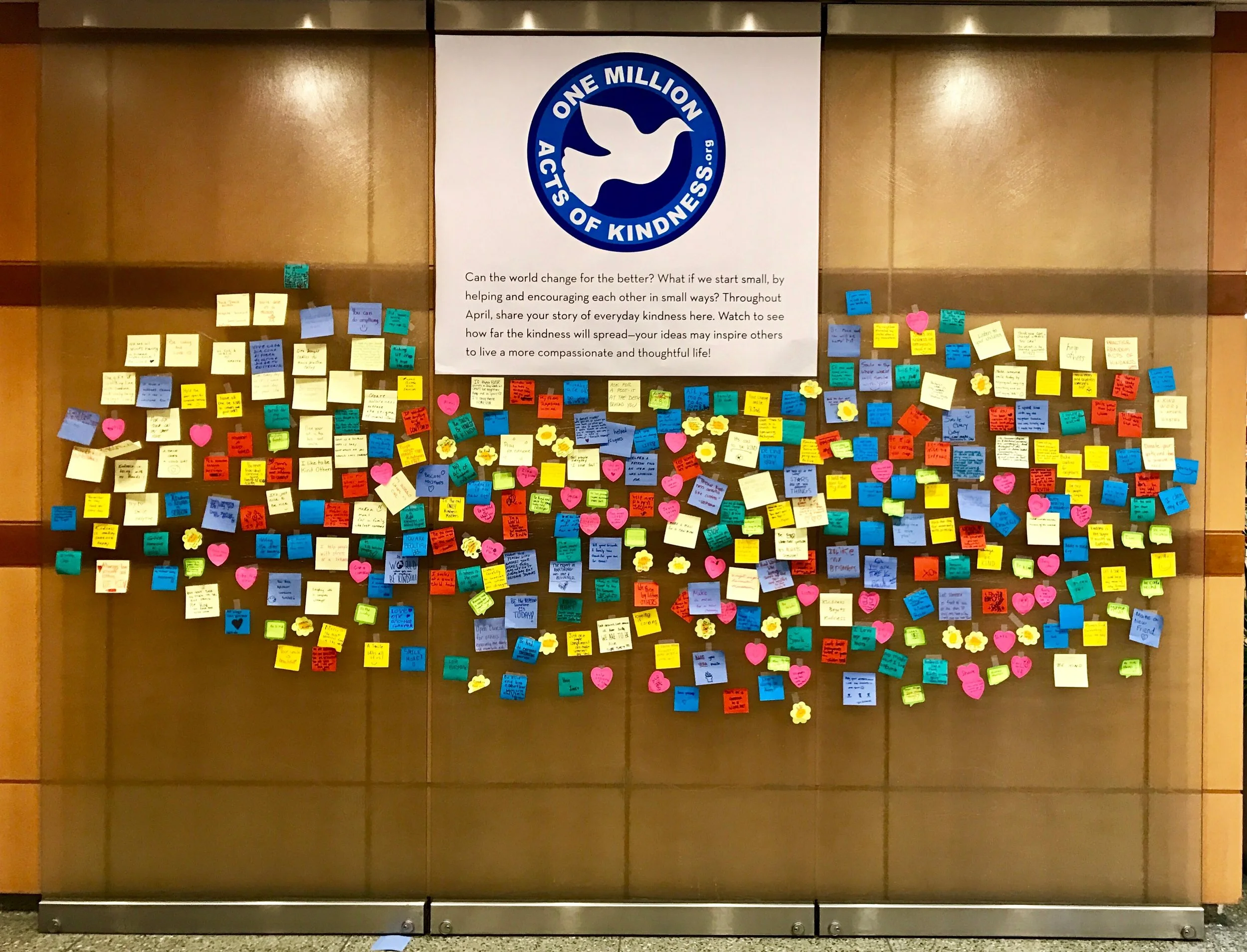 Operation Beautiful Nation |One Million Acts Of Kindness