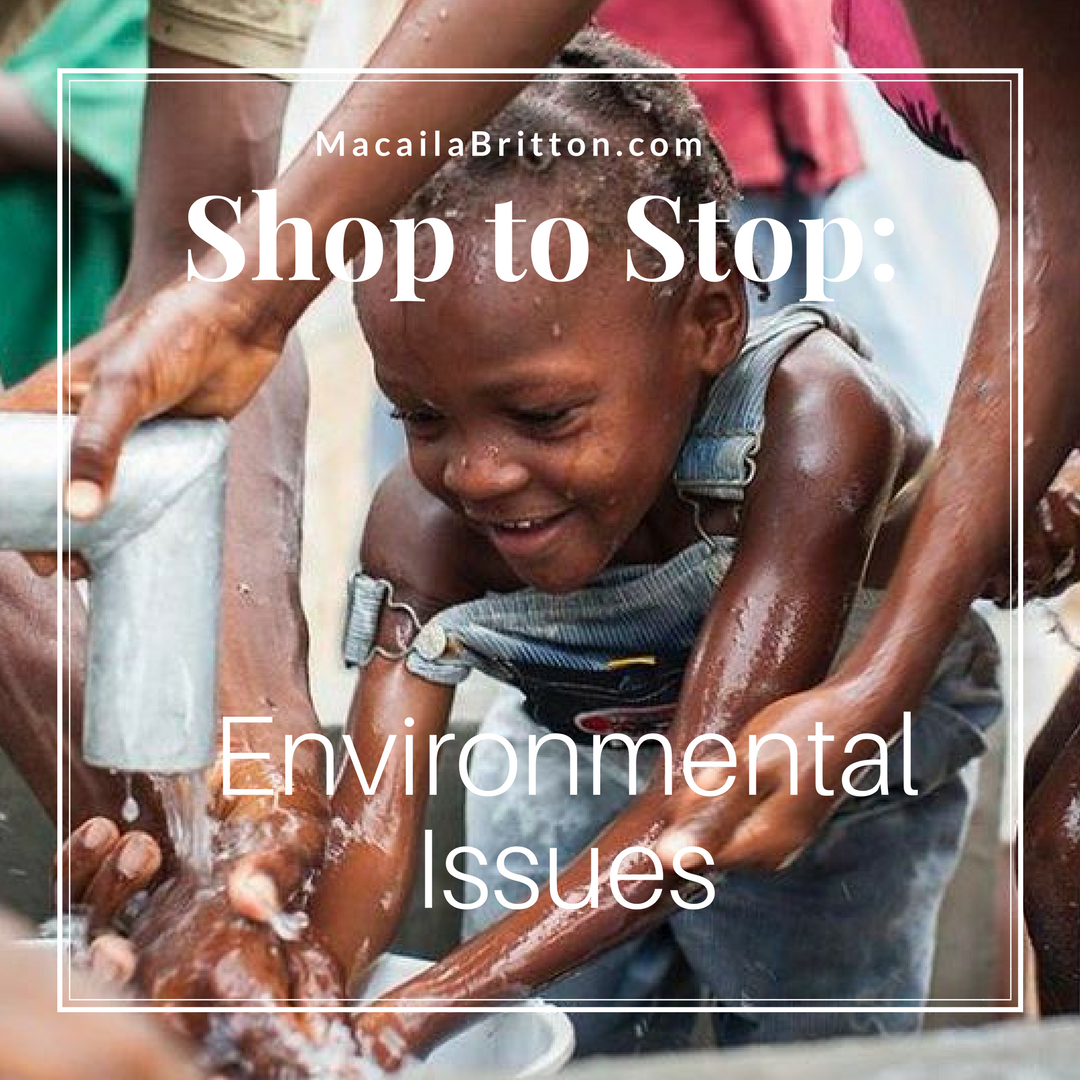 solve-environmental-issues-macaila-britton