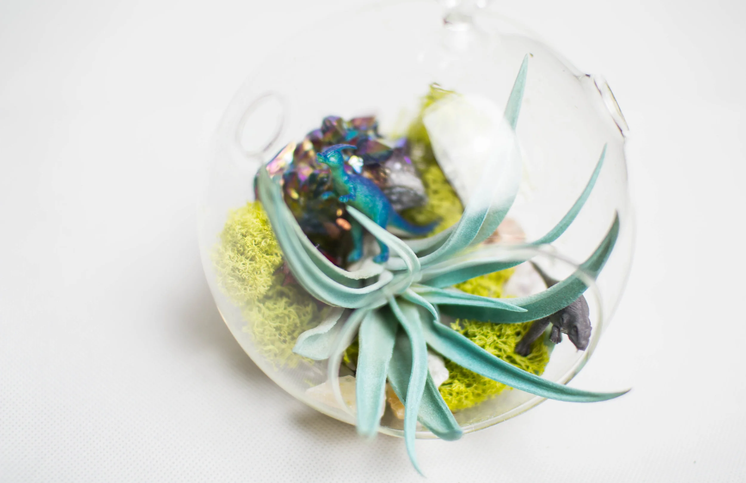 Girly Dinosaur Terrarium