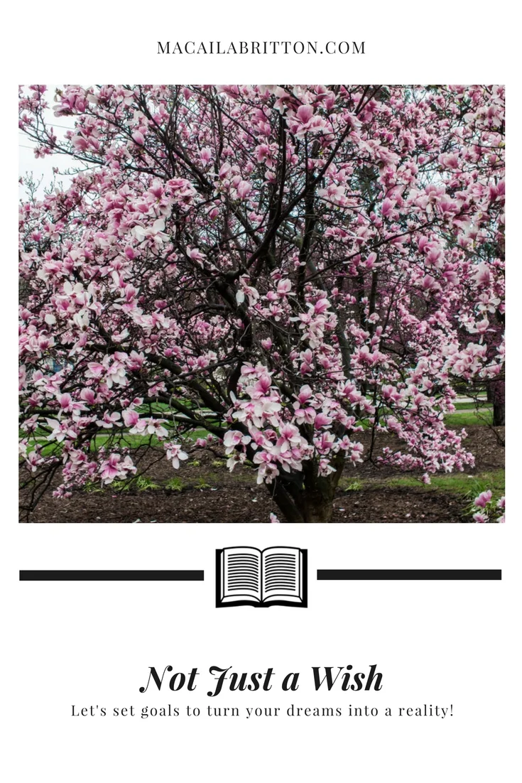 How-to-makes-dreams-a-reality